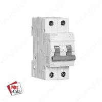 کلید مینیاتوری دو پل 25 آمپر زیمنس