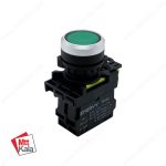 شستی استارت لحظه‌ای چراغدار مدل ENVCS A10D